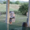 Игровая площадка