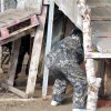 Безалкогольное 50-летие