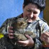 Безалкогольное 50-летие