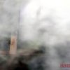Безалкогольное 50-летие