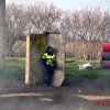 Безалкогольное 50-летие