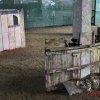 Безалкогольное 50-летие
