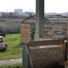 Безалкогольное 50-летие