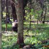 Большие пейнтбольные маневры