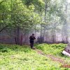 Большие пейнтбольные маневры