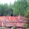 Большие пейнтбольные маневры