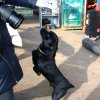 Фотоотчет 9 канал