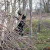 Отчет о сценарке "Мафия"