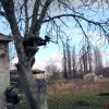 Отчет о сценарке "Мафия"