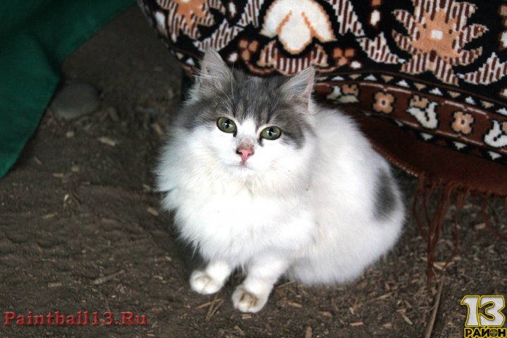 Праздник 13 декабря!