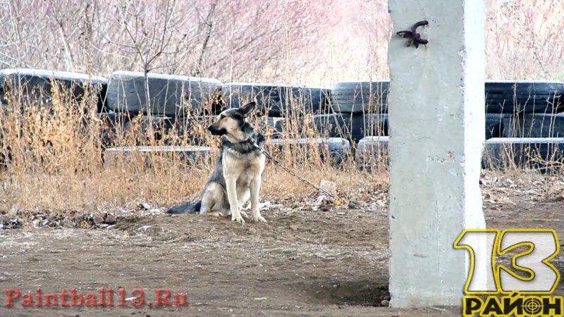 Городские межшкольные игры по лазертагу