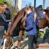 Пейтбольный турнир 02.11.13